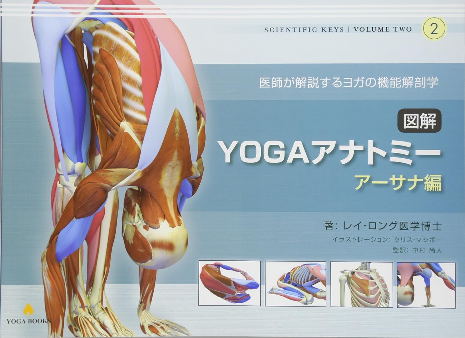 アナトミーフォーヨガ　ヨーガ　YOGA　DVD　体感して学ぶヨガの解剖学 体感して学ぶ ヨガの解剖学