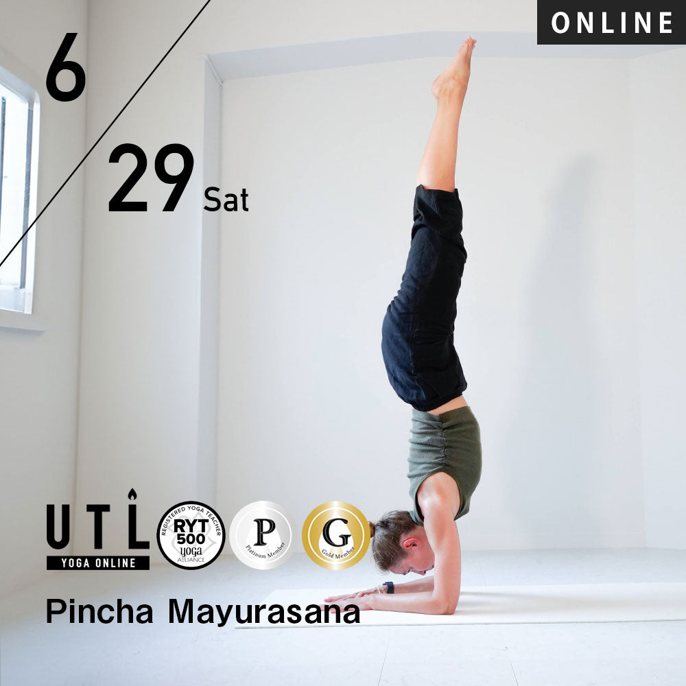 【開催終了】2024/6/29(土)Marina／Pincha Mayurasana