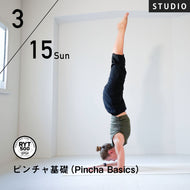 【開催終了】2026/3/15(日)Marina Polishuk／ピンチャ基礎（Pincha Basics）