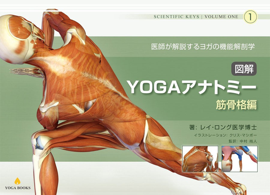 【アカデミック】図解YOGAアナトミー:筋骨格編 - 医師が教えるヨガの機能解剖学