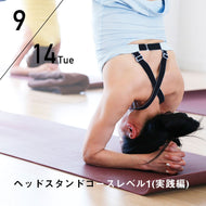 【開催終了】【RYT500選択講座】【アーサナの王様を極める】2021/9/14(火) HIKARU／第26期ヘッドスタンドコースレベル1(実践編)